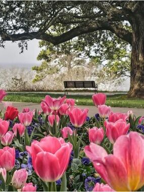 SOLD🌸 Kate Spade NY Staci Colorblock Large Continental Wallet EUC Saffiano